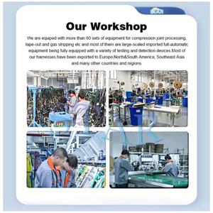 ชุดสายไฟฟ้าพร้อมสายควบคุมเชิงกล ประกอบด้วยขั้วต่อ <span class=keywords><strong>2</strong></span> ขา รุ่น DT06-2S/DT04-2P จากโรงงาน - Product Image 5