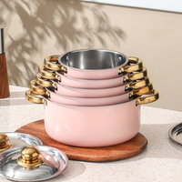 Ensemble de casseroles en acier inoxydable de haute qualité, 5 pièces, avec couvercles, ensemble de casseroles de cuisine colorées personnalisées pour la vente en gros, source d'usine