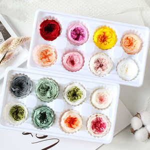 ดอกกุหลาบออสตินคุณภาพสูง ขนาด 4-5 ซม. ดอกไม้แห้งแบบคงรูปทรง ตัดสดใหม่ - Product Image 1