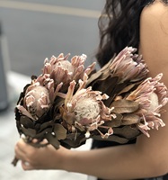 PPF20 Protea 2024 Ins Décoration de maison la plus populaire Fleurs séchées conservées pour la Saint-Valentin et l'obtention du diplôme