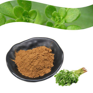 Заводская поставка, экстракт Bacopa Monnieri, пищевой натуральный порошковый экстракт портулака - Product Image 2