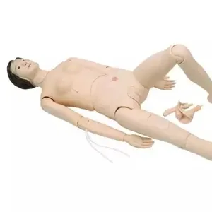 Chất Lượng Tốt Nhất Y Tá Đào Tạo Búp Bê Nam Và Nữ Y Tế Khoa Học Giáo Dục Nhựa Con Người Sinh Học Giảng Dạy Giải Phẫu Mô Hình - Product Image 5
