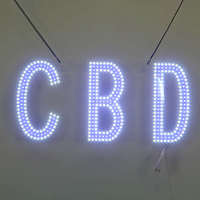 Panneaux LED Publicitaires DELTA-8 à Prix Bas, Fins et Légers, pour Salons de Beauté, Ongleries, et Magasins de CBD (Neon RGB)