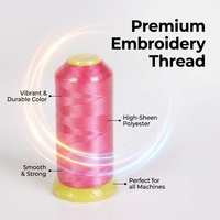Fil à broder 100 % polyester en gros, 120D/2, poids 100g, fil haute résistance pour broderie industrielle informatisée