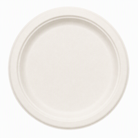 Assiette ronde jetable en bagasse de 8 pouces, écologique, pour le service quotidien et les événements en extérieur
