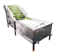 Hoge kwaliteit circulerende water aardbeien bubbelreinigings wasmachine fruit bubbelwasser
