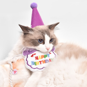 Babero de cumpleaños para gato o perro con sombrero, diseño de dibujos animados en terciopelo, unisex, accesorio para fiestas en las cuatro estaciones - Product Image 1