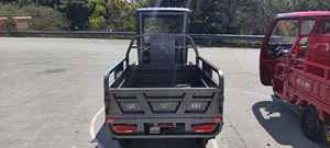 Motocicleta de 3 ruedas para triciclos eléctricos de batería para adultos Mini <span class=keywords><strong>triciclo</strong></span> eléctrico abierto - Product Image 6