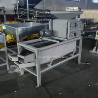 HENJU Nieuwe Prijs Schaal Amandel Machine Schilmachine Palmnoot Kern Castor Zonnebloempitten Schilmachine Te Koop Met Goede Prijs