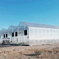 Système de séchage solaire multi-voûtes clé en main GT avec serre en polycarbonate