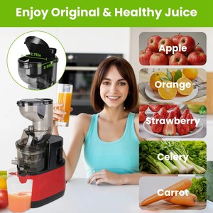 Fabrika fiyat suyu sıkacağı büyük kalibreli karıştırıcılar yüzlü meyve soğuk pres yavaş bütün Mango limon elma portakal kesici sıkacağı - Product Image 6
