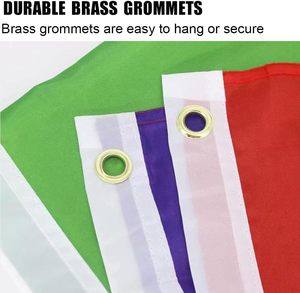Drapeau Syloid New Intersex Progress Pride LGBTQ 3x5 en polyester durable, à suspendre en extérieur, couleurs vives, bisexuel, lesbienne, transgenre - Product Image 3