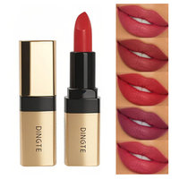 Haute Qualité OEM Personnalisé Vegan Nude Rouge Velours Longue Durée Satin Mat Créez Votre Propre logo Logo Privé Cosmétiques Rouge À Lèvres