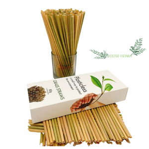 หลอดดูดหญ้าแบบใช้แล้วทิ้ง,ชุดเซ็ทเวียดนามสำหรับชีวิตที่มีสุขภาพดีผลิตในเวียดนามภายในปี Eco2go เวียดนาม - Product Image 1