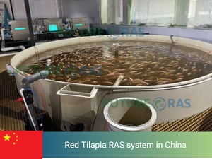 Sistema de Cultivo de Peces Ras Inteligente, Totalmente Automático, para Interiores, de 50 a 100 Toneladas, para Agua Salada, para Salmón, Mero y Cangrejo de Río - Product Image 6