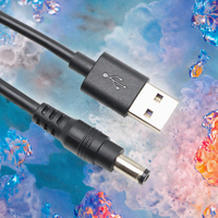 Câble Pigtail USB 2.0 A Mâle vers Fils Nus Dénudés à 2 Broches, 1m, PVC, Haute Qualité, pour Lumières LED, Lampes, Ventilateurs, Recharge