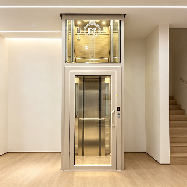 400kg Hydraulic Villa Small Home Passenger Elevator with PVC Floor 23M Height Stainless Steel Construction