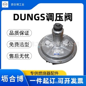 Régulateur de pression de gaz naturel en métal Dungs FRS507 - Product Image 4