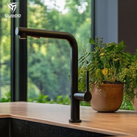 Robinet de cuisine simple et populaire à poignée unique extractible pour évier