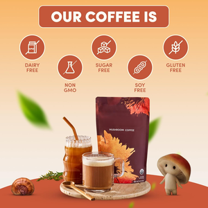 RYZE SUPER FOODS Pilz kaffee in Original qualität USDA Organic für bessere Energie mit MCT Oil Lions Mane & Turkey Tail 30 Serving - Product Image 5