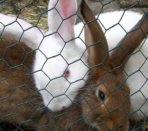 Caja de Gabión de Malla de Alambre de Hierro Trenzado Hexagonal Perforado, Duradera y Confiable, para Control de Inundaciones en Ríos y Cercas para Animales, Incluye Soldadura - Product Image 2