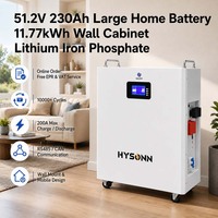 Batterie domestique grande capacité Hysonn 51.2V 230Ah 11.77kWh, lithium fer phosphate, pour armoire murale, pour sauvegarde PV et alimentation des entrepreneurs, OEM