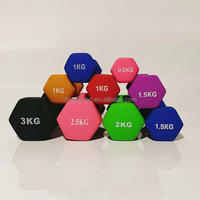 Haltères hexagonaux en plastique de haute qualité OEM, disponibles en plusieurs couleurs, pour les culturistes, petits haltères.