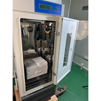 Incubateur électrique de haute qualité 0 ℃   ~65 ℃   Incubateurs à température et humidité constantes 202L Incubateur de laboratoire en acier inoxydable