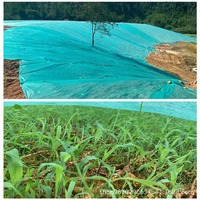 Rouleau de tissu non tissé spunbond anti-UV, écologique, respirant, résistant aux déchirures, pour couverture de mauvaises herbes en agriculture, directement de l'usine