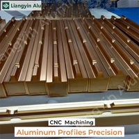 Profilé d'extrusion en aluminium Liangyin OEM Série 6000, moulage ouvert, personnalisé, extrudé, thermolaqué, dissipateur de chaleur de précision, découpe