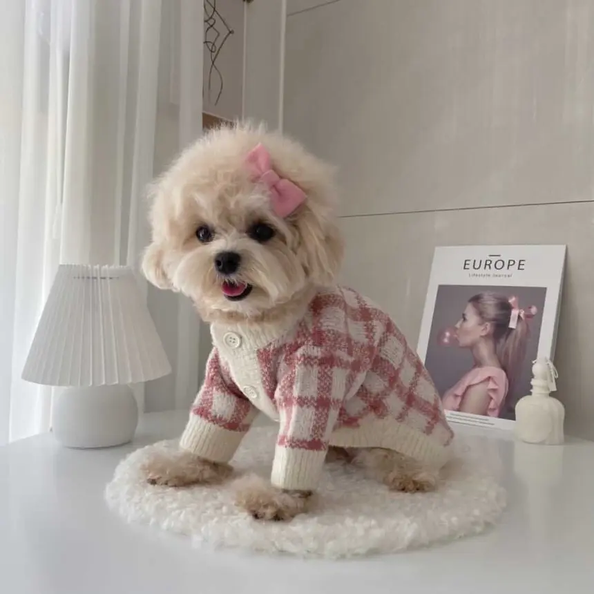 Hot Selling Luxe Pet Geruit Vest Elegante Trui Voor Huisdieren Mode Huisdier Kleding Accessoires Schattige Hond Gezellig Warm Jasje Jas