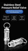 Mini-vanne de sécurité en acier inoxydable SS316, filetage mâle, vanne de décharge de pression à ressort réglable pour réservoir de compresseur d'air, de gaz ou d'eau