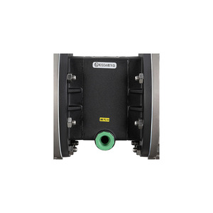 Bomba Neumática de Doble Diafragma AODD de Acero Inoxidable Personalizable de 1 Pulgada BSK para Uso Marino y Aguas Residuales - Soporte OEM - Product Image 6
