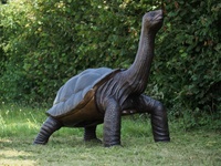 Grande sculpture de tortue en bronze pour l'extérieur, à vendre