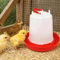 Système d'élevage de poulettes entièrement automatique de type H, cages à étages compactes pour petites exploitations