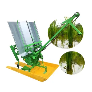 Nueva trasplantadora de arroz manual de 4 filas de Vietnam mejorada para máquina sembradora de arroz