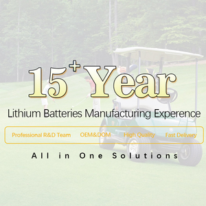 Batería de Litio de Estado Sólido LFP 51.2V 100Ah para Carrito de Golf, 5120Wh, Batería de Litio para Triciclo, 6000 Ciclos, Ezgo - Product Image 5