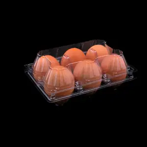 Boutons d'œufs de poulet jumbo, en plastique transparent, paquet de 6, 50 pièces