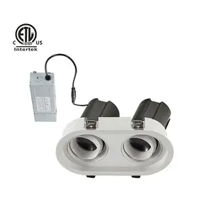 Daytonled Twins B Oval Square Seri Tanpa Bingkai ETL North America Arsitektur Anti Silau Lampu Ganda Led Downlight 10W