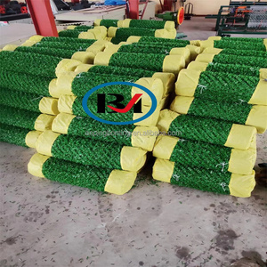 <span class=keywords><strong>2025</strong></span> nóng bán đôi dây ăn đầy đủ tự động cỏ tường cỏ trang trí dây lưới Chuỗi liên kết 2*10m cỏ hàng rào - Product Image 2