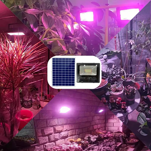 Lampe de culture <span class=keywords><strong>LED</strong></span> à énergie solaire 100w 200w Spectre complet Plantes d'intérieur et d'extérieur Fleurs <span class=keywords><strong>Semis</strong></span> Éclairage Projecteurs pour la culture - Product Image 5