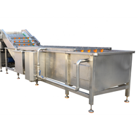 Groentewasmachine Industriële Chili Wasmachine Roterende Fruitgroente Wasmachine