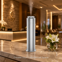 Diffuseur de parfum de bureau en métal pour hôtel, 100 ml, télécommande, minuterie 8H, anti-séchage, 4000 mAh, 150-300 m³, prise US EU UK, OEM, noir, argent