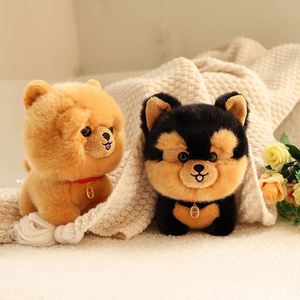 CustomPlushMaker - Peluche de Cachorro de 20 cm al por Mayor, Muñeco de Peluche Husky, Muñeco de Tela Corgi, Peluche de Animal de Simulación - Product Image 3