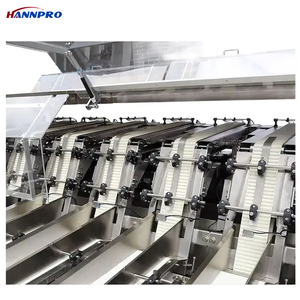 HANNPRO Machine à emballer les biscuits, les bâtonnets de pain au lait, le tri et le comptage automatiques - Product Image 3
