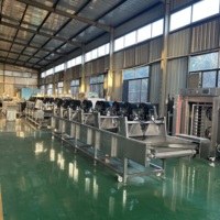 Volautomatische Geïntegreerde Fruit En Groente Wassen, Schillen, Drogen Productielijn Machine