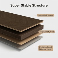 Parquet en chêne à chevrons écologique et économe en énergie, multicouche, antibactérien, système de pose à clipser pour extérieur