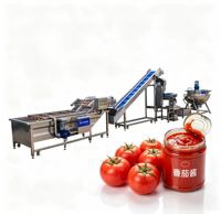 Automatische fruitpasta-machine voor de productie van mango-, aardbei- en bosbessenjam