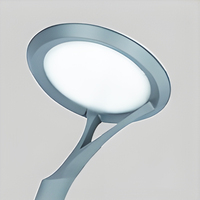 Luminaire LED d'extérieur pour jardin, directement de l'usine ; Construction en aluminium, indice de protection IP65 ; Convient pour les jardins, les routes et les parcs.