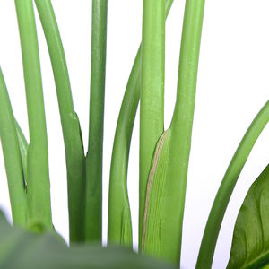 <span class=keywords><strong>Prix</strong></span> usine voyageur artificiel feuille de <span class=keywords><strong>bananier</strong></span> faux palmier du voyageur fausse plante pour la <span class=keywords><strong>d</strong></span>écoration - Product Image 6